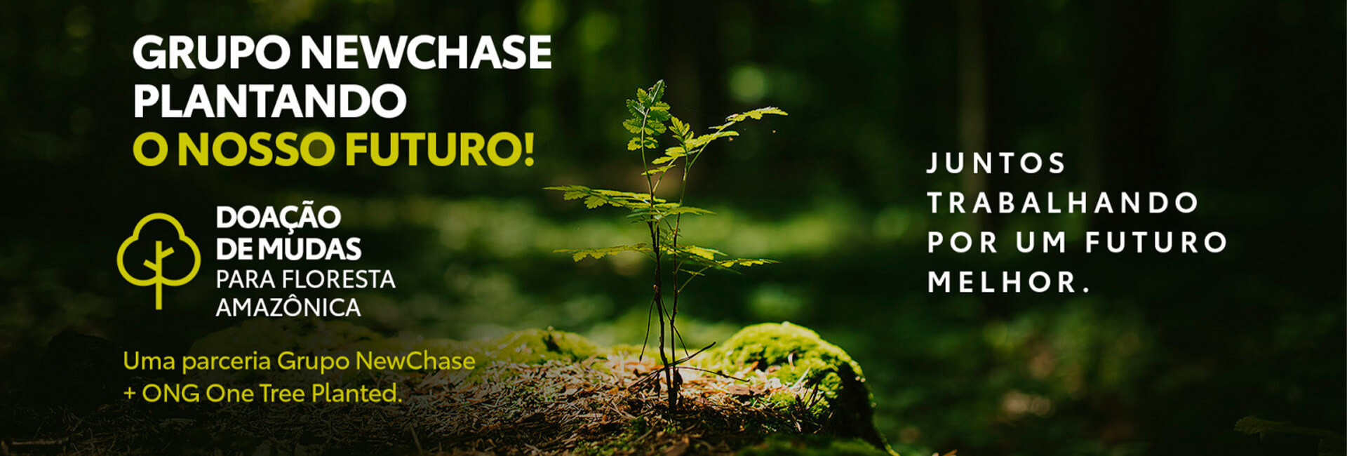 banner-gruponewchase